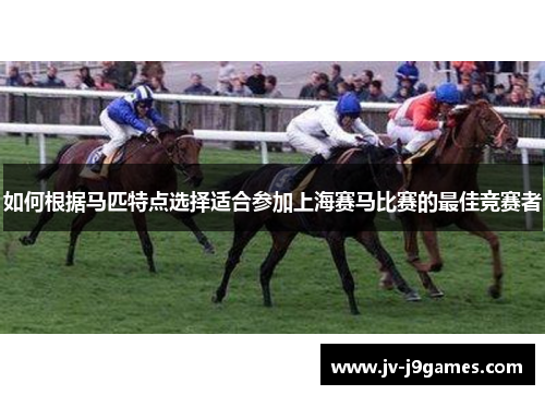 如何根据马匹特点选择适合参加上海赛马比赛的最佳竞赛者 如何根据马匹特点选择适合参加上海赛马比赛的最佳竞赛者